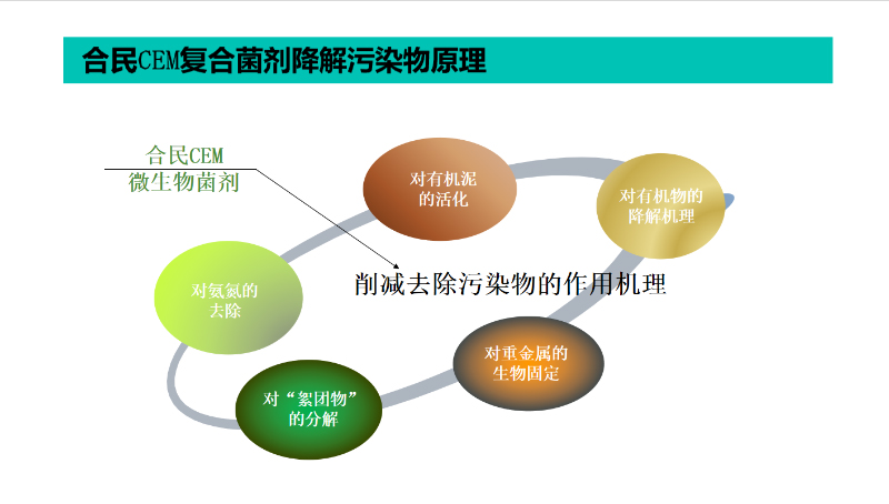 CEM水體原位治理技術-3-1.png